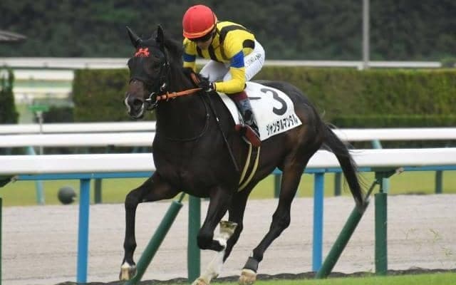 【朝日杯FS枠順確定】ジャンタルマンタルは2枠3番、ダノンマッキンリーは4枠8番