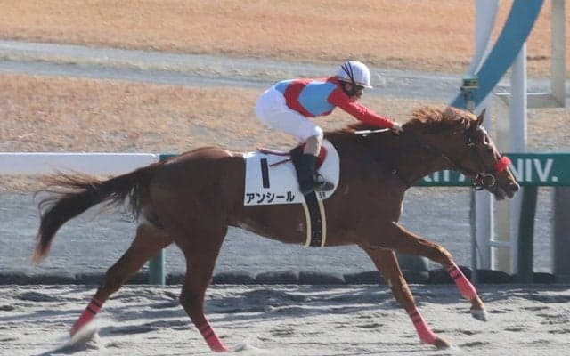【新馬/中京5R】パイロ産駒 アンシールがデビューV
