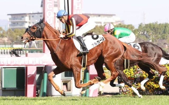 【新馬/阪神4R】母はアロマティコ、チルカーノがデビュー勝ち