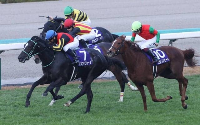 【阪神JF】無敗の2歳女王誕生！アスコリピチェーノが無傷の3連勝