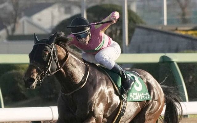 【カペラS】津村「自信を持ってこの馬の競馬をした」テイエムトッキュウが重賞初制覇