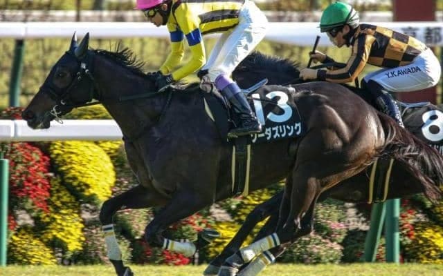 中山芝はハーツクライ産駒を狙え！ 中山メインは復活のレジェンドで勝負だ