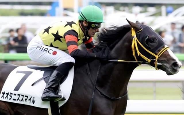 大谷翔平選手に続け！ オオタニズスマイルが土曜中京4Rに出走