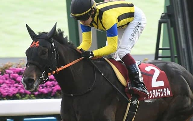 【朝日杯FS予想】完成度で一枚抜けている印象のジャンタルマンタル(古澤秀和)