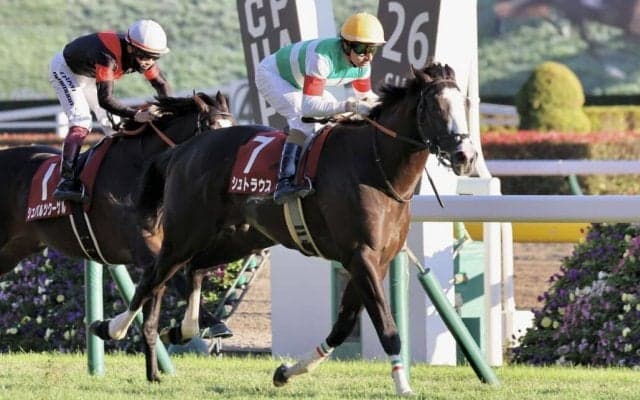 【朝日杯FS】シュトラウスは大外へ…武豊騎手は実戦復帰