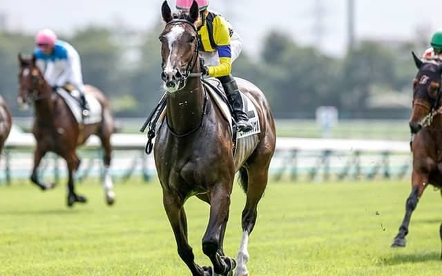 【ターコイズS予想】上がり最速馬は不振 求められるのは瞬発力より器用さ