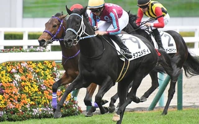【阪神5R新馬戦結果】ノーネイネヴァー産駒のラブコメディが抜け出し快勝