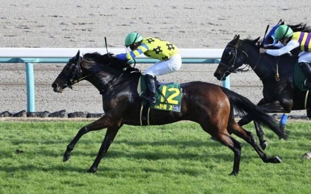 【ヤングJSFR中山1】川崎競馬若手のホープ、野畑凌が鮮やかな差し切り…「気持ちで負けないように追いました」