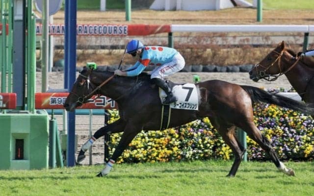 【新馬/中山5R】ブラックタイド産駒 ターコイズフリンジが力強く差し切る