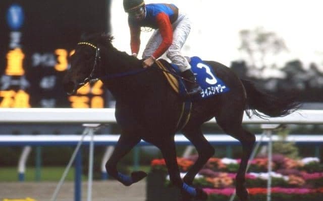 JRA70周年企画「GIメモリアルヒーロー」24頭が決定 ライスシャワーやサイレンススズカの名前も