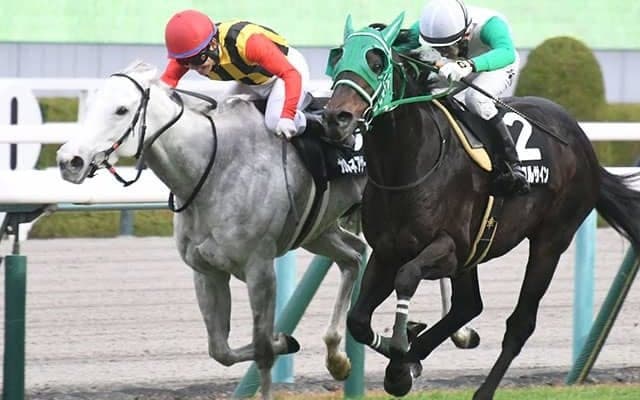 【タンザナイトS結果】カルネアサーダがハナ差逃げ切りV