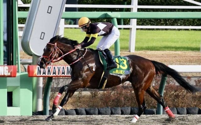 【ヤングJSFR中山2】最終戦を横山琉人が勝利して逆転V！…アスクビックスターで圧勝