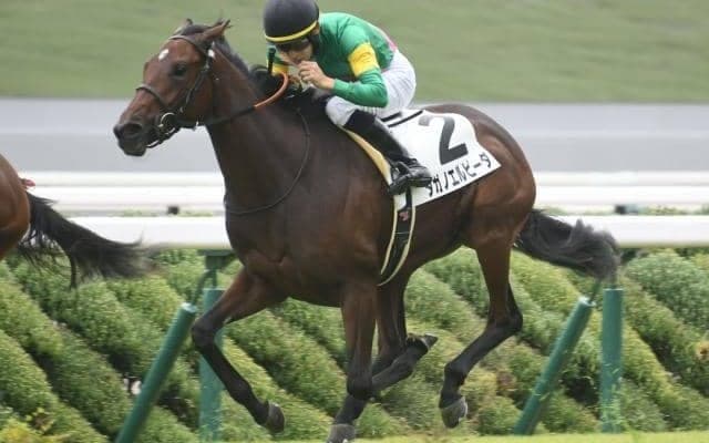 阪神芝は展開一つ 朝日杯FSは内枠＆先行脚質の伏兵に要注意