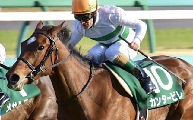 重賞2勝カンタービレの忘れ形見 良血ジャズが待望のデビュー