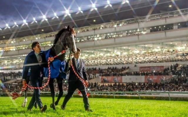 イクイノックス引退式での関係者6名のコメント 木村師「本当にホッとしています」 ルメール騎手「子どもに騎乗したい」