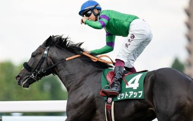 霜降り明星・粗品の朝日杯FS予想 本命を絡めた3連単32点勝負「一番賢い馬券の買い方」
