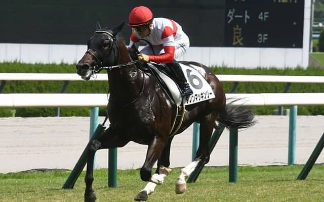 【朝日杯FS予想】2歳マイル王を目指す素質馬17頭が集結