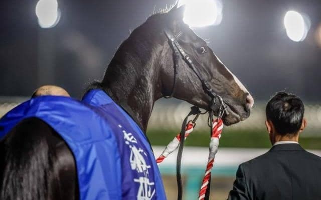 GI・6勝挙げたイクイノックス 16日に競走馬登録を抹消