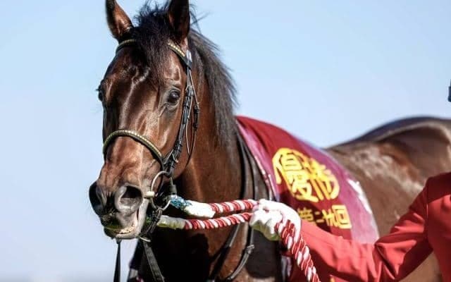 有馬記念で父ディープインパクトとの親仔制覇なるか 重賞制覇で勢い乗る宝塚記念6着馬が出走