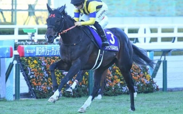 霜降り明星・粗品が朝日杯FSの3連単的中 「本命が飛んでも大プラス」と自画自賛