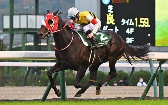 重賞2勝馬ユニコーンライオンが抹消 今後は種牡馬入りの予定