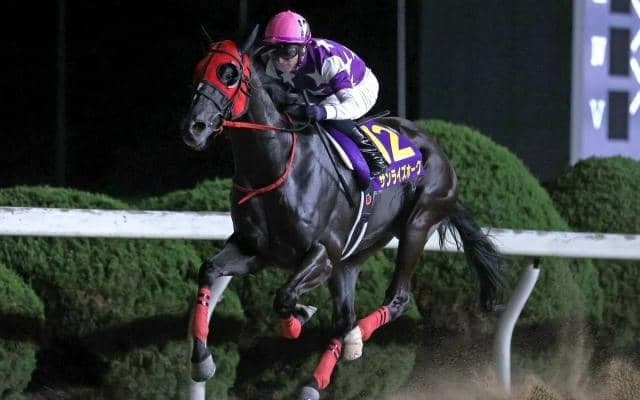 【園田・兵庫GT枠順】重賞連勝狙うサンライズホークは7枠9番