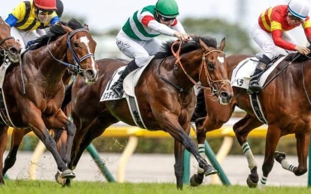 3世代のダービー馬などGI馬が多数出走する有馬記念など/今週の競馬界の見どころ
