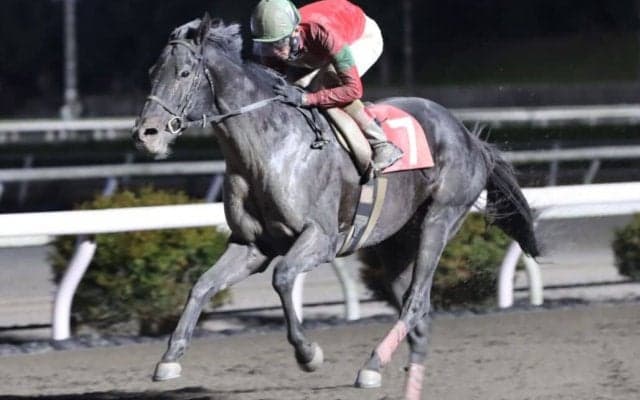 【高知・鏡川特別】ロードブレスが5馬身差圧勝…永森「文句なし」