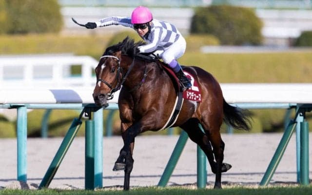 【有馬記念登録馬】ドウデュースなど20頭