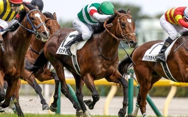 【有馬記念見どころ】ダービー馬タスティエーラがGI2勝目に挑む