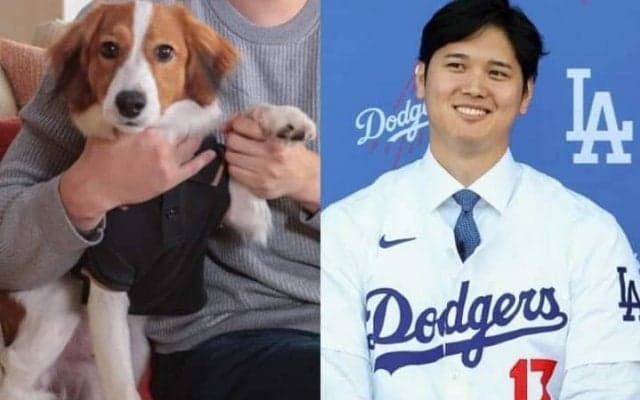 「誰にでも飼えるわけではない」米老舗紙は大谷翔平の愛犬デコピンが生んだ“世界的フィーバー”に警鐘「しつけに根気必要」