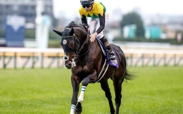 有馬記念想定騎手20頭 タイトルホルダーは横山和生騎手、タスティエーラはR.ムーア騎手