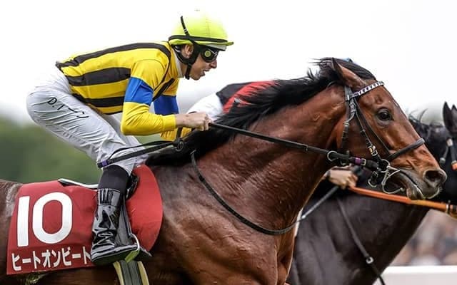 11度目のチャレンジで重賞初制覇 勢い増す鞍上の“リズム”乗って有馬Vなるか