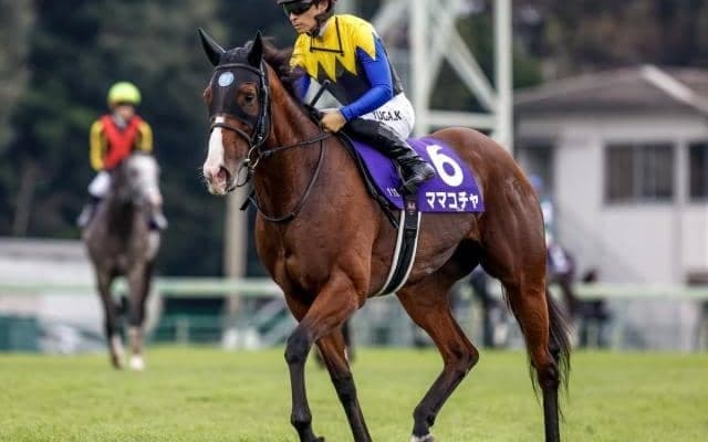 阪神C想定騎手17頭 ママコチャは川田将雅騎手、アグリはC.ルメール騎手