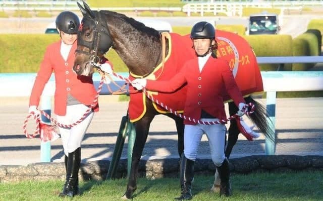 芝向きの強さ見せた米国血統ジャンタルマンタル 父パレスマリスは来年から日本で供用開始