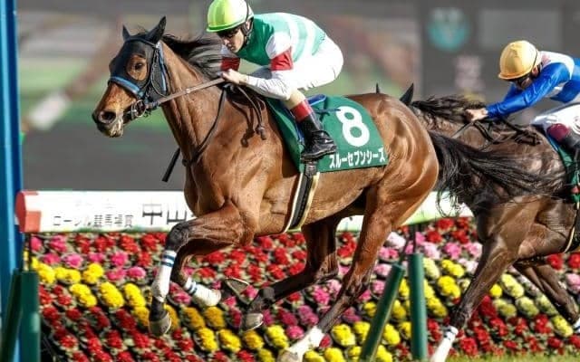 有馬記念で狙いたい“グランプリ血統” 父ステイゴールドの特徴とは？