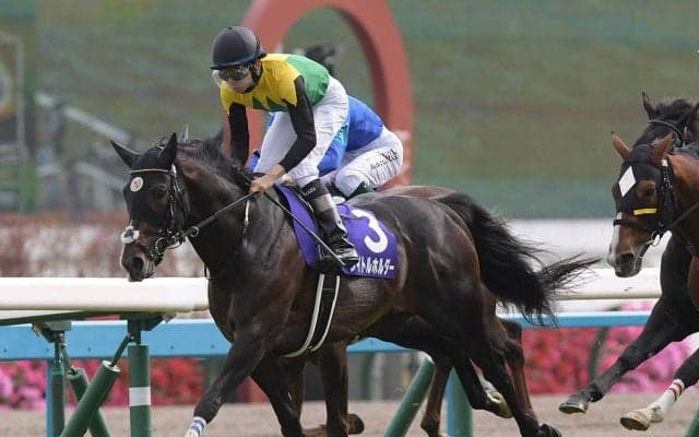 逃げ馬劣勢の有馬記念　タイトルホルダーは有終の美を飾ることができるか