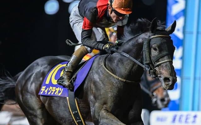 【名古屋グランプリ枠順】浦和記念の覇者ディクテオンは8枠12番