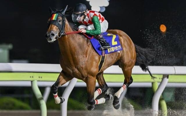 【浦和・ゴールドC枠順】南関東のマイル・短距離路線の総決算 スマイルウィは2枠2番