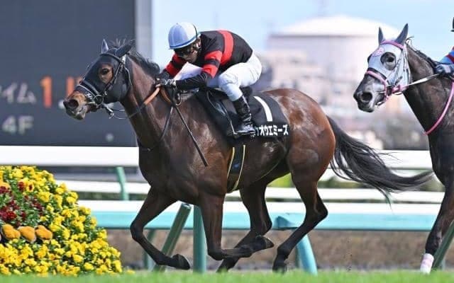 中山は3勝、2着4回と好相性 有馬記念で舞台巧者が“笑顔”届ける激走なるか