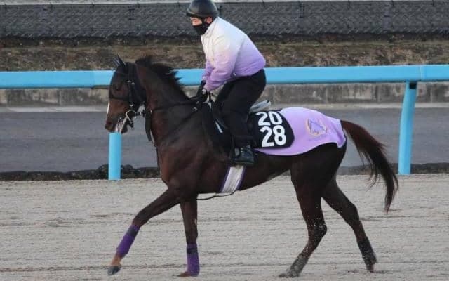 ミスキャサリンなど、先週のゲート試験/栗東トレセンニュース