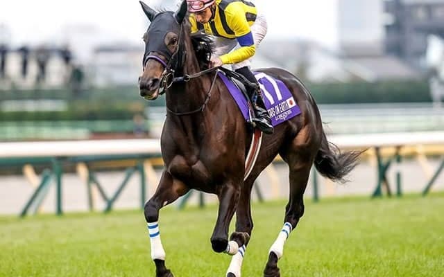 【有馬記念予想オッズ】スターズオンアースが予想1番人気
