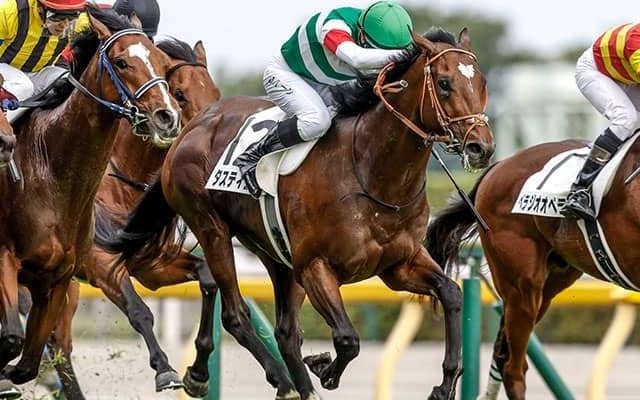 【有馬記念展望】ダービー馬タスティエーラが混戦断つ