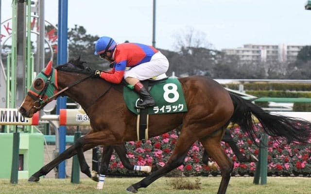 有馬記念はＧⅠ未勝利の４歳牝馬が推し レース適性が高いスクリーンヒーロー産駒のラストランにも期待