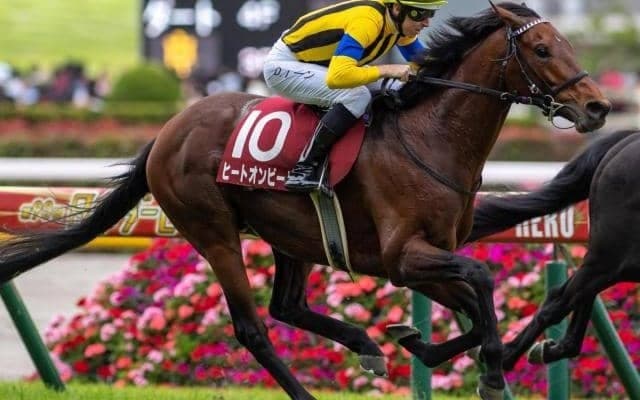 ヒートオンビートにかかる有馬記念史上初の快挙とは 2500m巧者が波乱呼ぶ