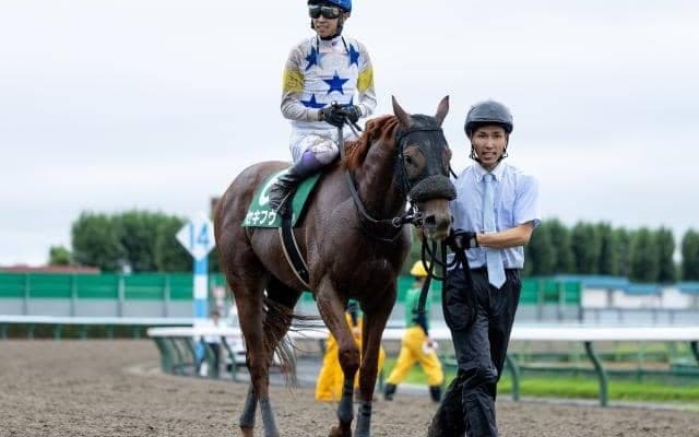 【兵庫ゴールドT注目馬】ダート短距離戦線を締めくくる一戦 中央馬の23年連続Vか、地方馬悲願の初Vか