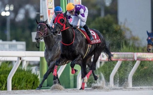 【兵庫ゴールドトロフィー】サンライズホークが交流重賞を連勝