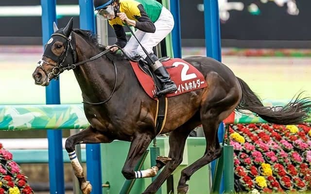 有馬記念的中のヒントは球界にアリ!? 今年のサイン予想を聞いてみた