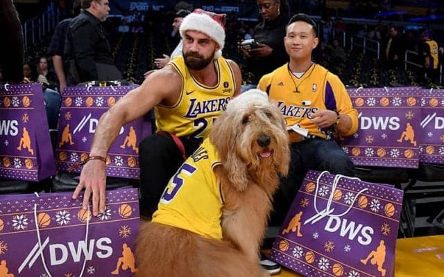 NBAコートサイドで“イヌ観戦”…「見たことない光景」なぜ実現？