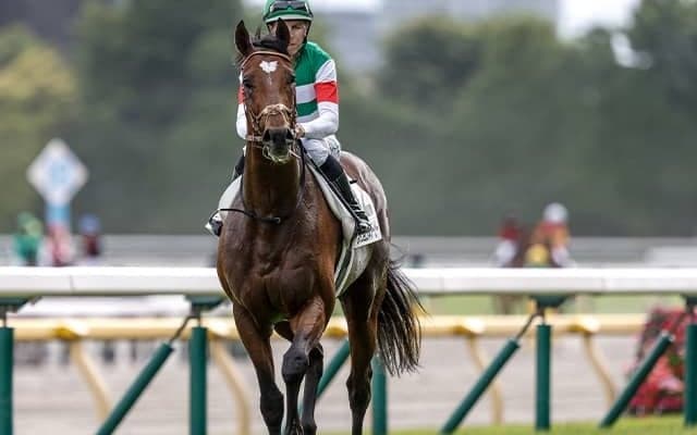 有馬記念でオルフェーヴル以来の快挙なるか ムーア騎手と再タッグのダービー馬参戦